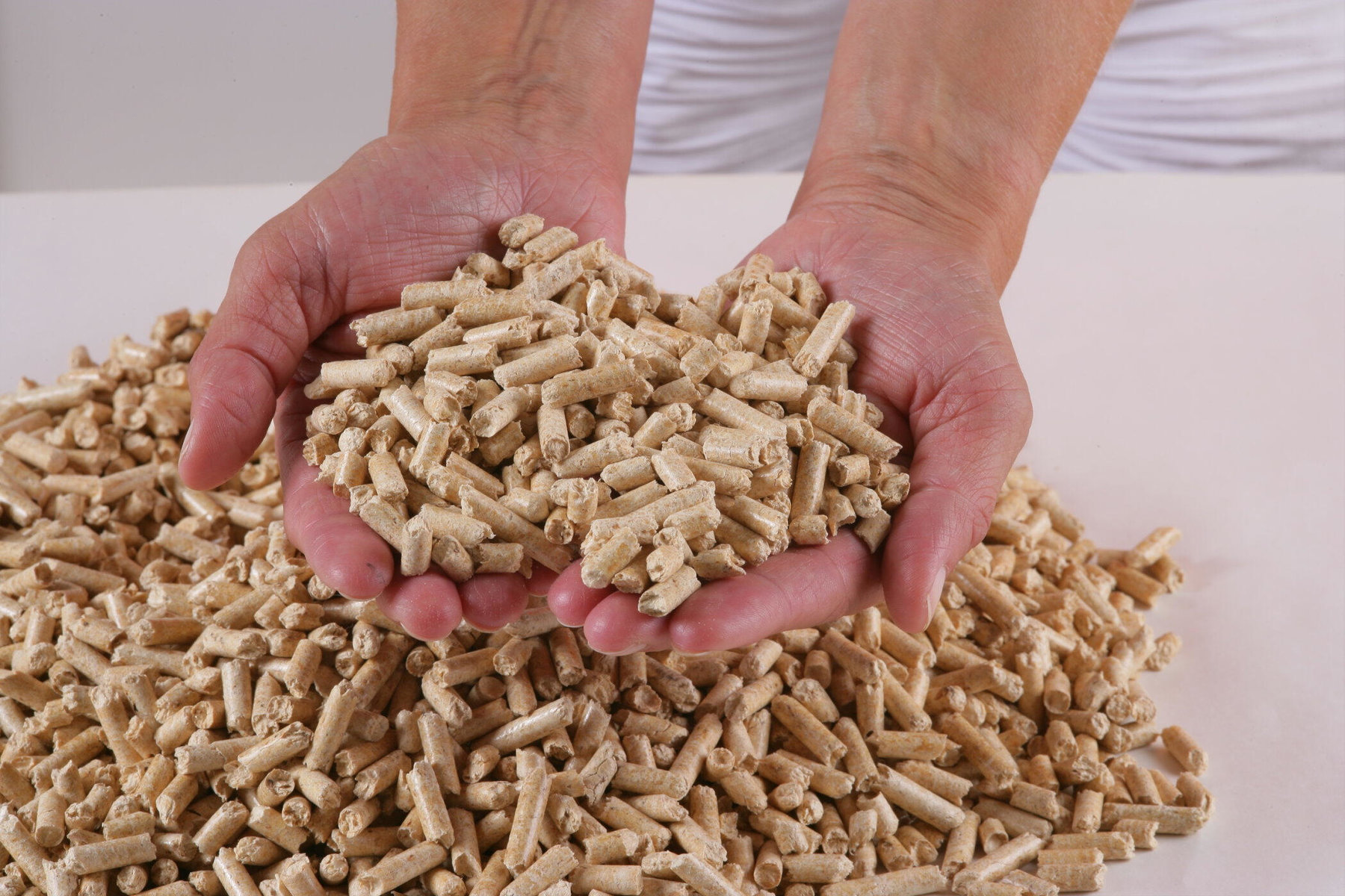 Pellet-Herstellung der Firma proPellets Austria